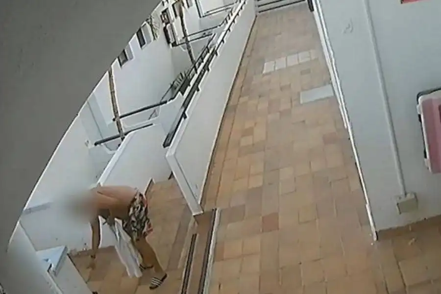 16-month jail sentence for man who beat cat to death in Puerto Rico
