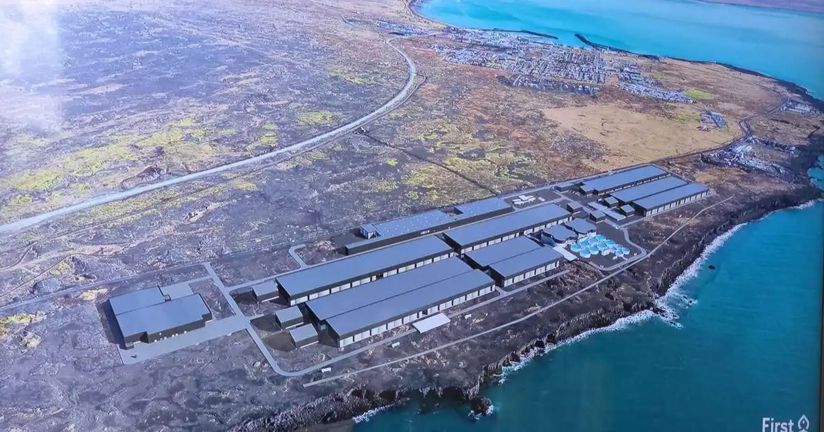 160 ker undir landeldi hjá First Water í Ölfusi