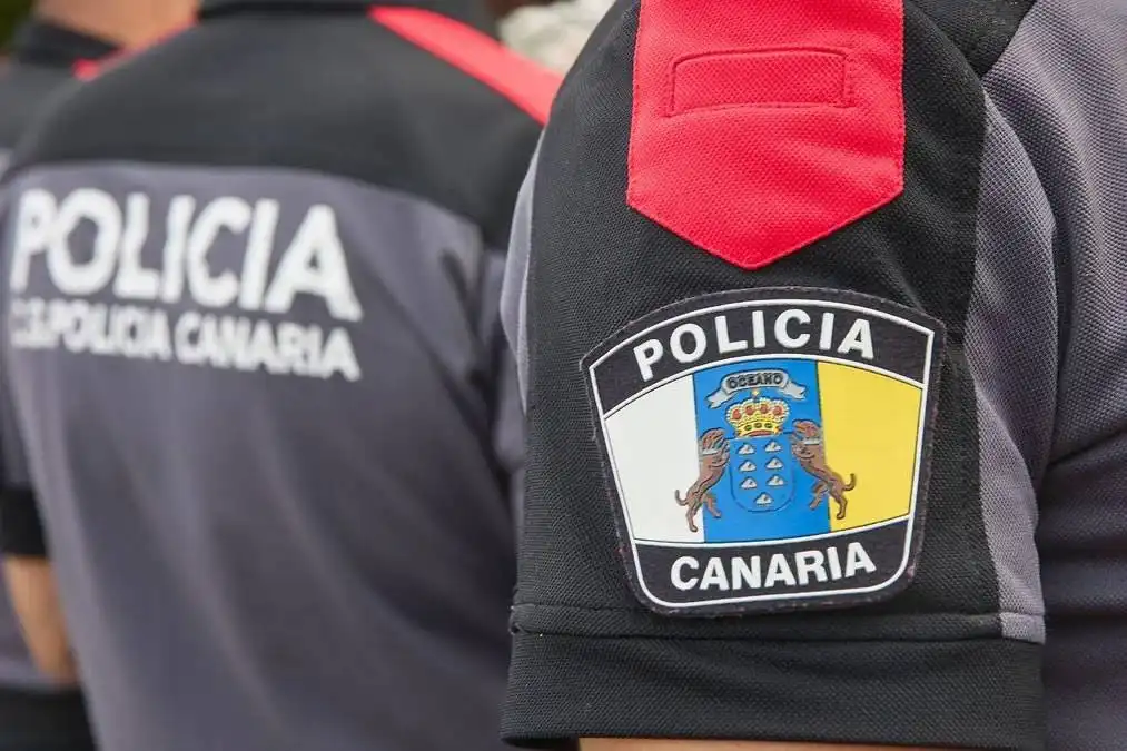 18-year-old arrested in south Tenerife for allegedly assaulting his mother