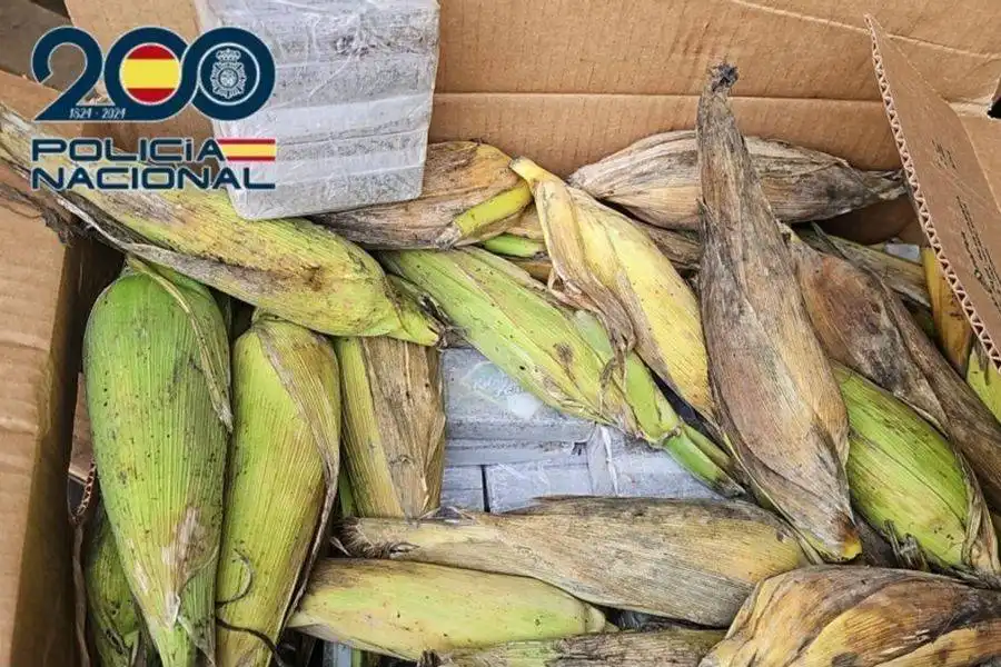 350kg of hashish found hidden in vegetable shipment in Gran Canaria