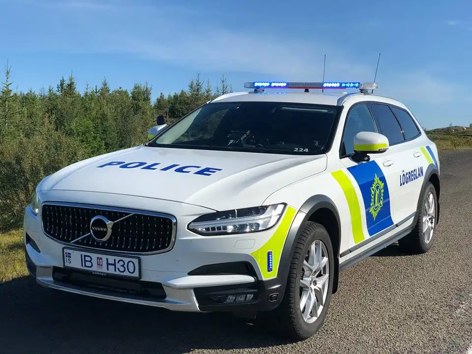 50 handteknir í alþjóðlegri aðgerð gegn skipulagðri brotastarfsemi -  samstarf íslensku lögreglunnar við Europol - DV