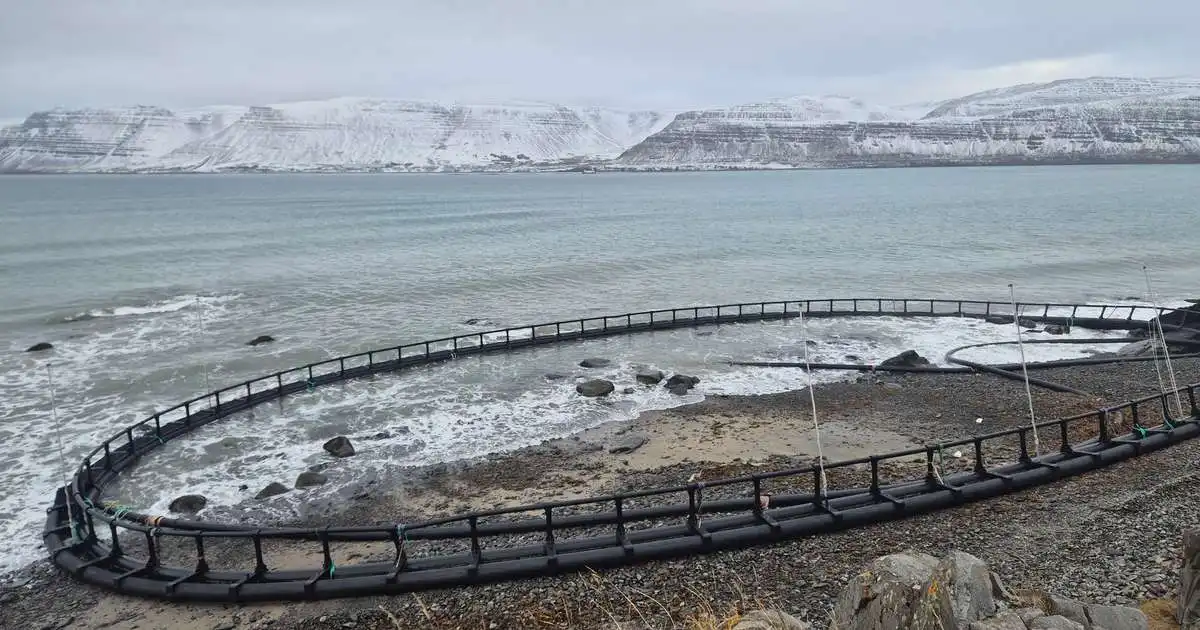 Ætla að sækja flothring af sjókví úr fjörunni við Patreksfjörð í næstu viku