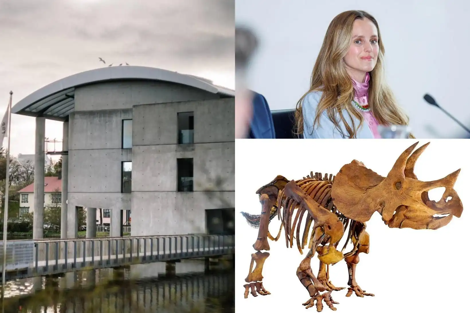 Afþakka risaeðlubein eftir þriggja ára vinnu starfshóps - MBL.IS