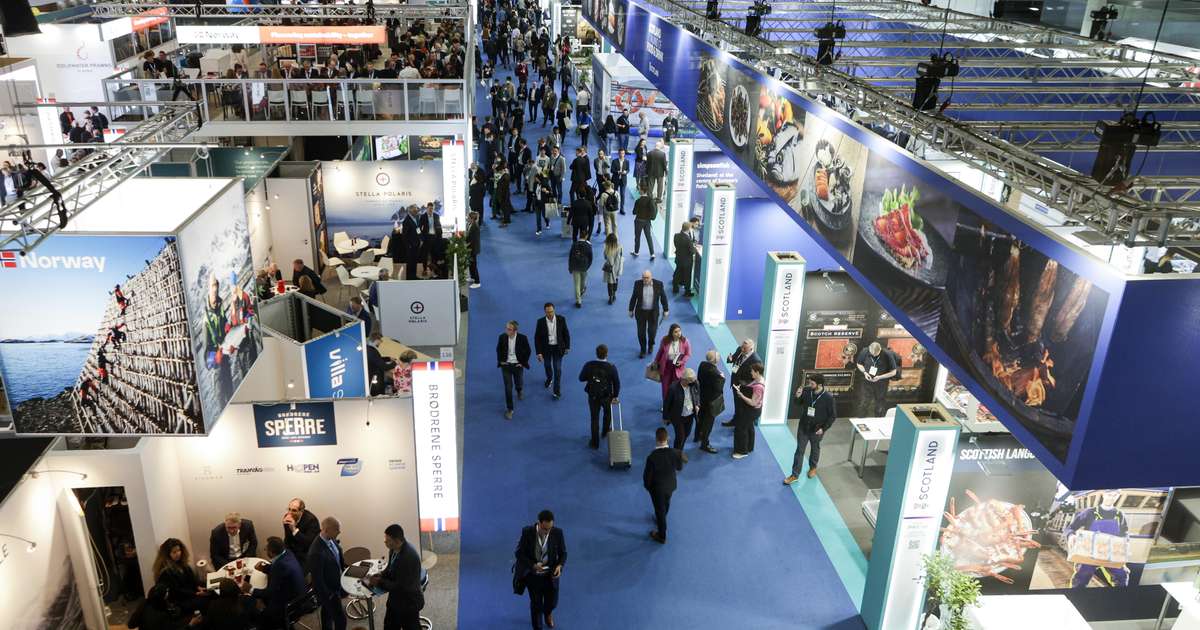 Áhugi á mögulegum aðildarviðræðum Íslands við Evrópusambandið