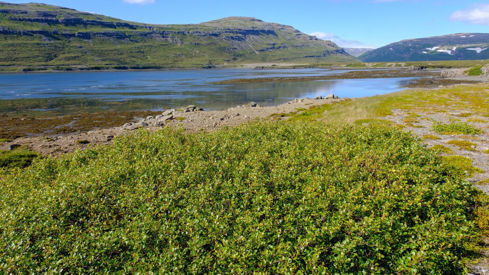 Á­kærður fyrir að eitra fyrir sam­starfs­fé­laga með kanna­bis - Vísir