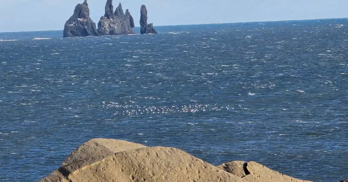 All hvasst syðst á landinu