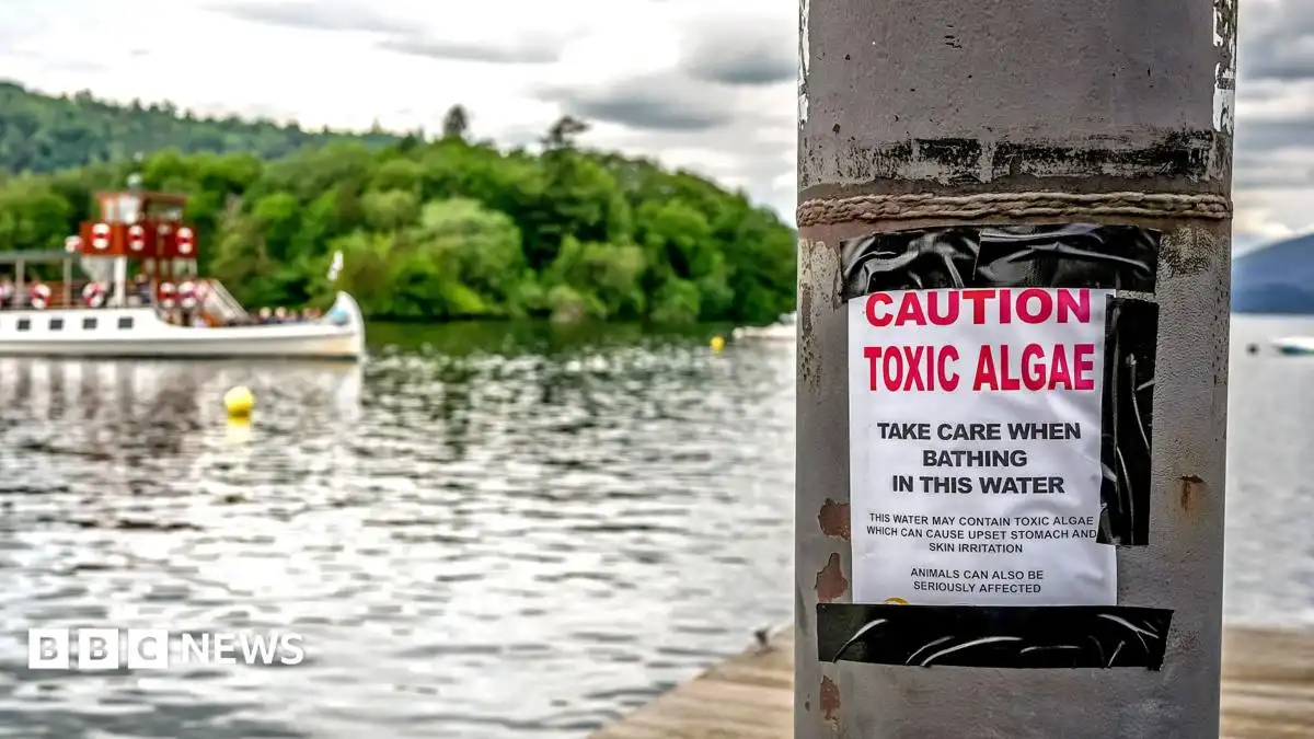 All of England's rivers and lakes polluted with chemicals, officials say