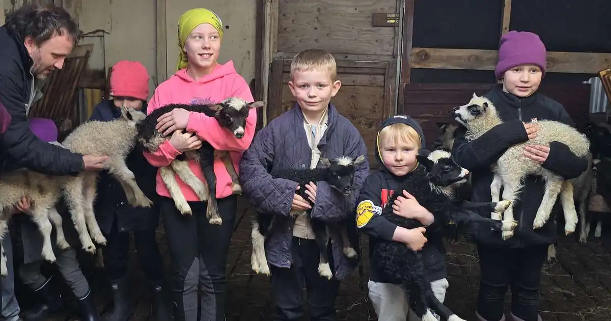 Allt á fullu í sauðburði í Grindavík