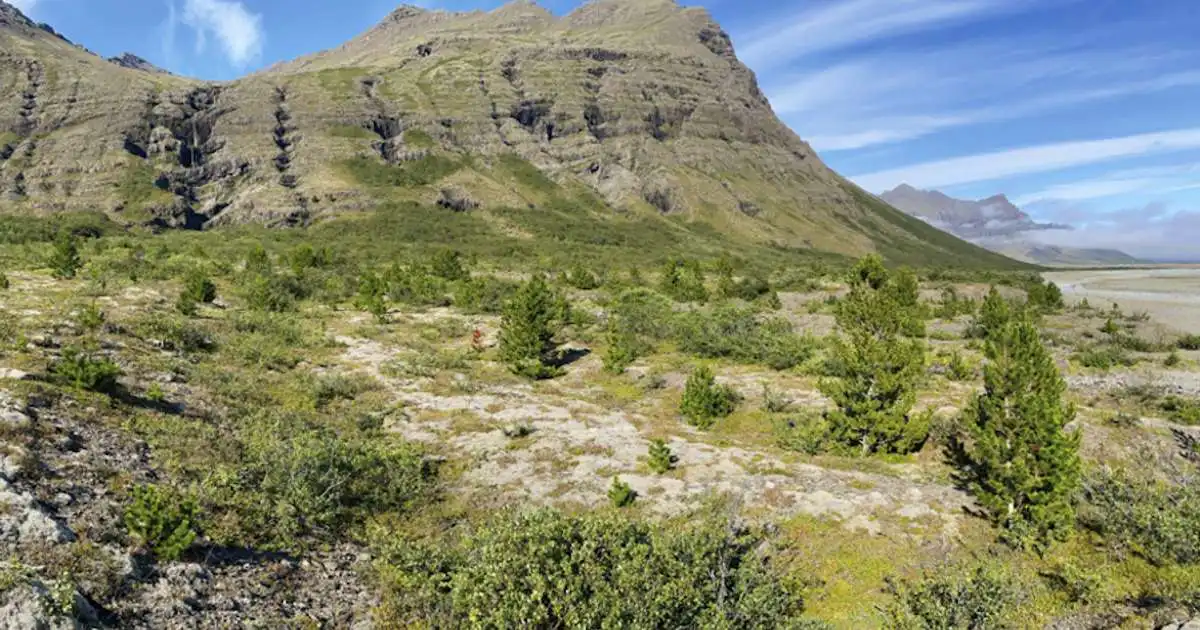 Allt að 14 stiga hiti