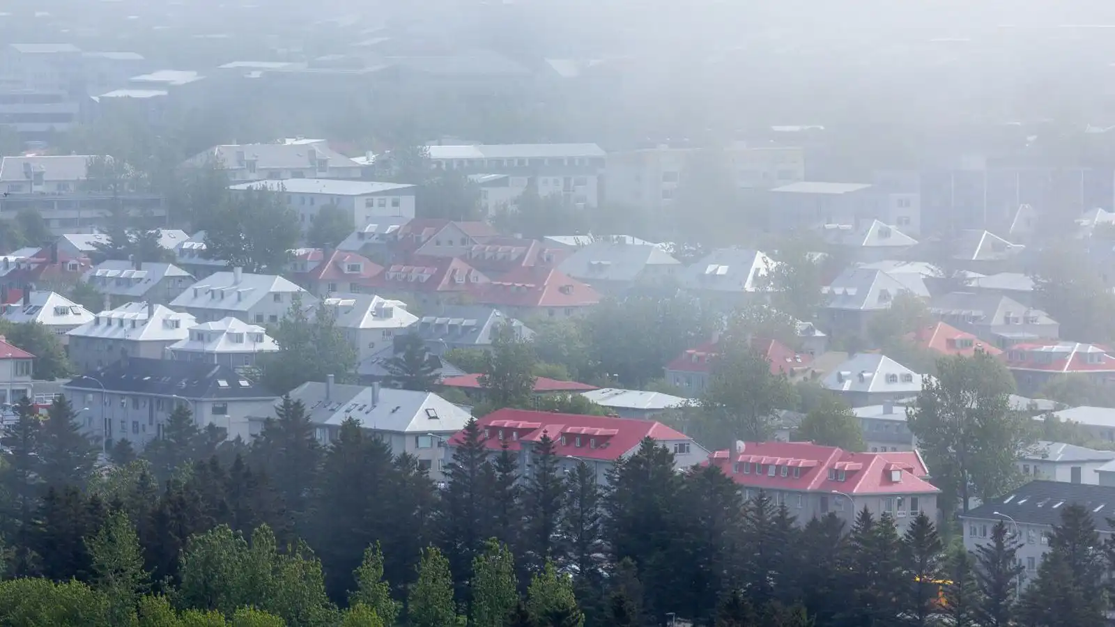 Al­var­legar líkams­á­rásir í Reykja­vík - Vísir