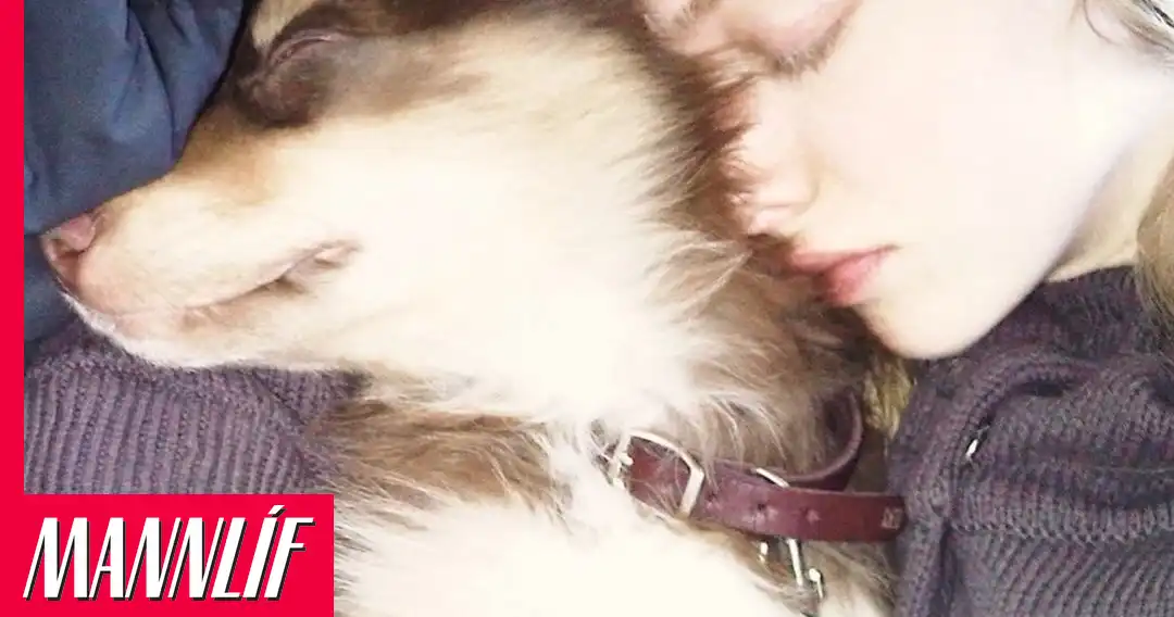 Amanda Seyfried syrgir hundinn Finn