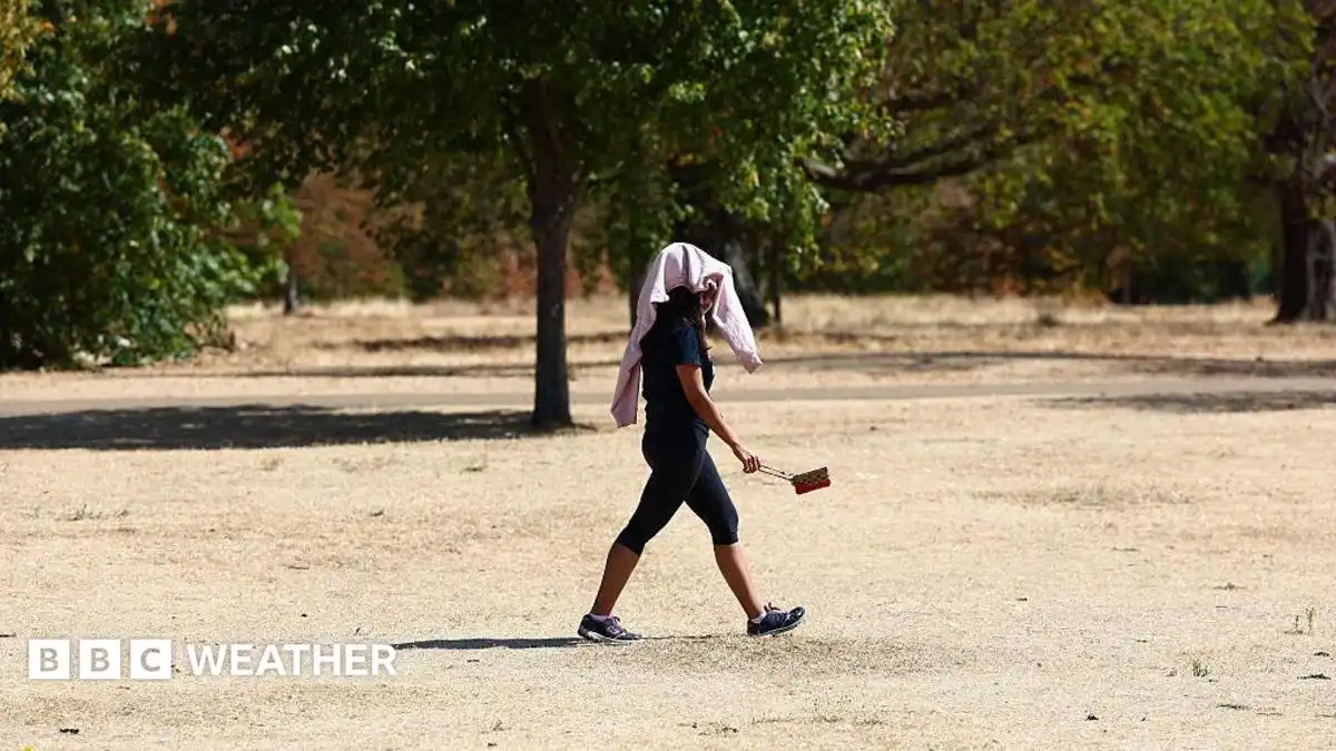 Amber heat health alerts for almost all of England as next heatwave begins