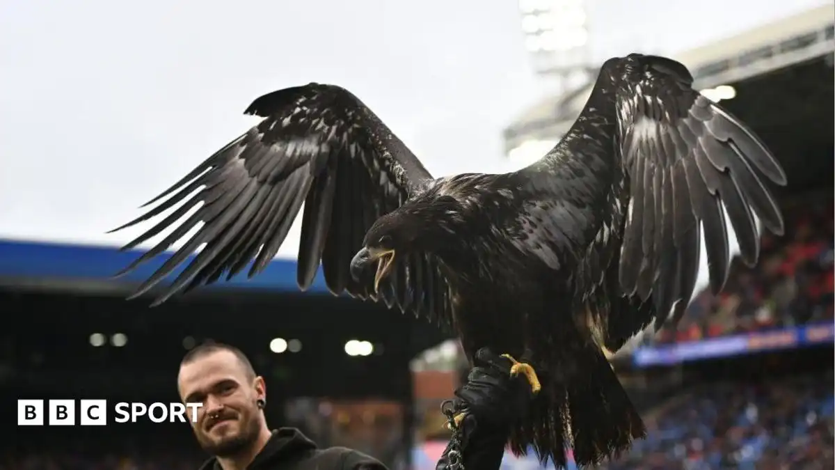 Animal rights group Peta asks Crystal Palace to retire bald eagle mascot