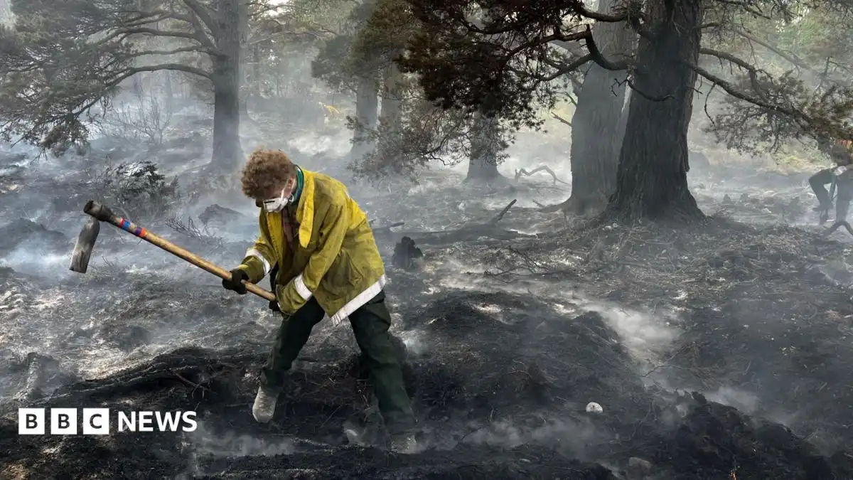 'Apocalyptic' damage as Cairngorms wildfire burns for two weeks