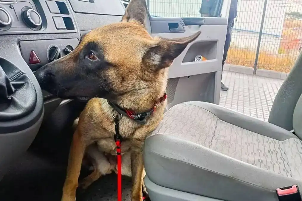 Arrested in Gran Canaria with 72 grams of cocaine hidden in his car