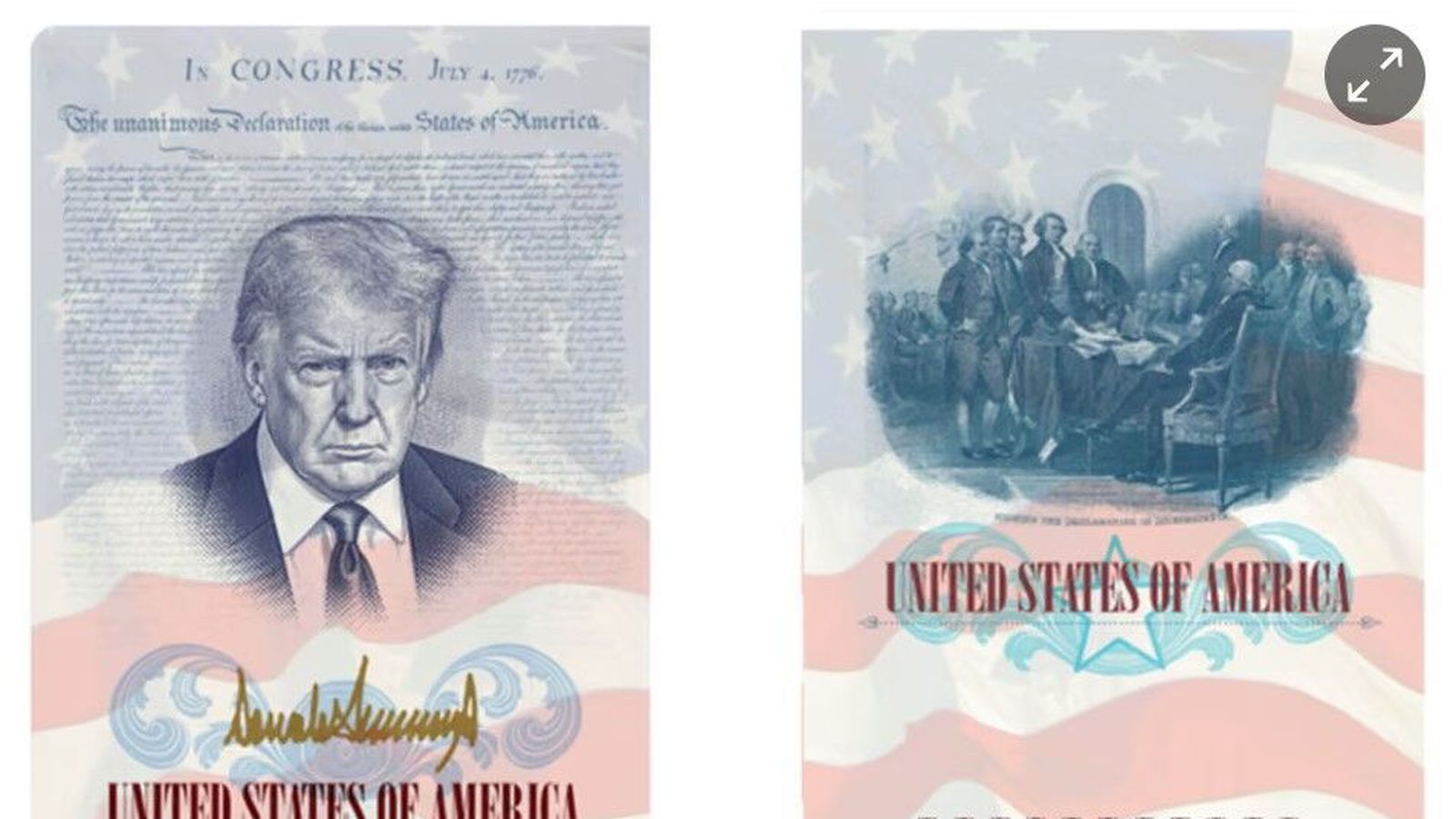 Á­sýnd Trump mun prýða við­hafnar­út­gáfu vegabréfsins - Vísir