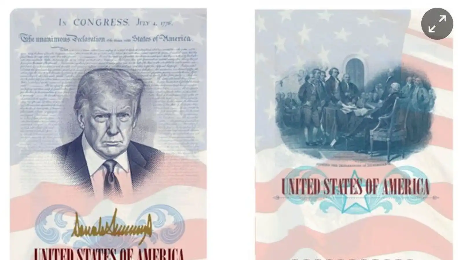 Á­sýnd Trump mun prýða við­hafnar­út­gáfu vegabréfsins - Vísir