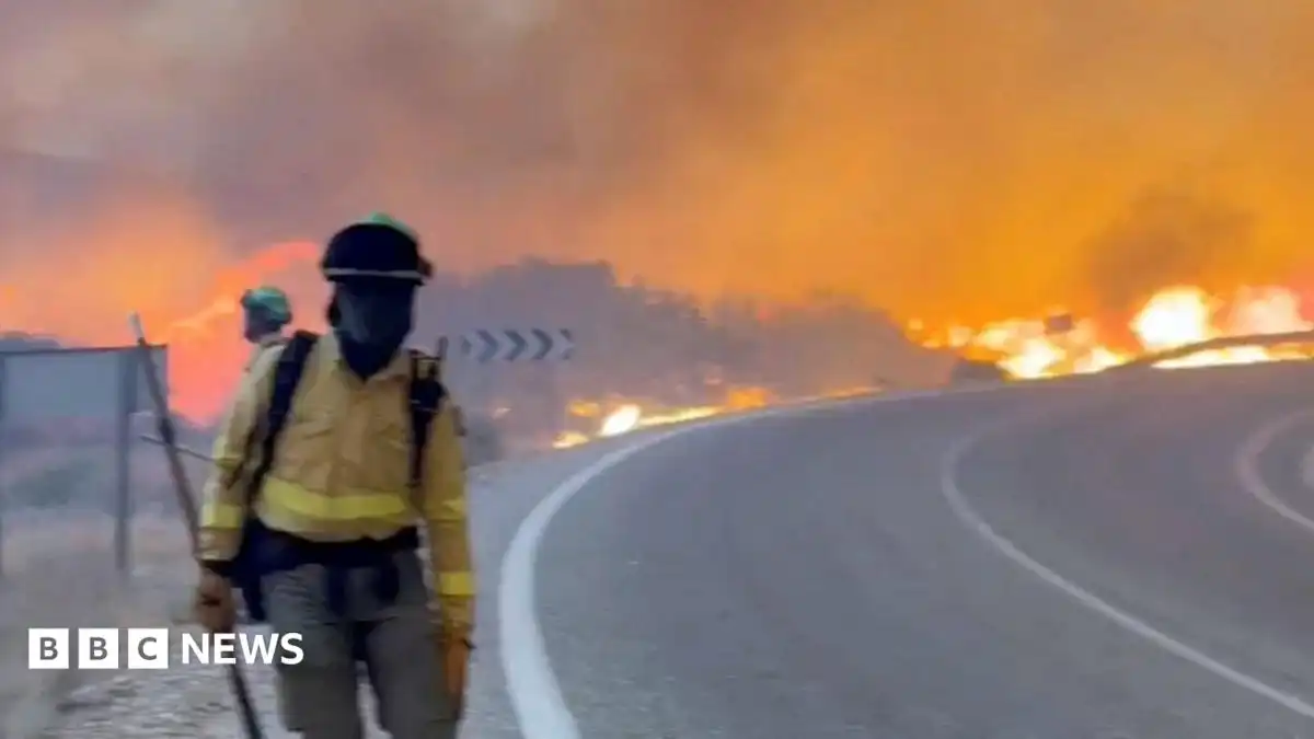 At least 11 dead and 19 missing in wildfire in southern Spain
