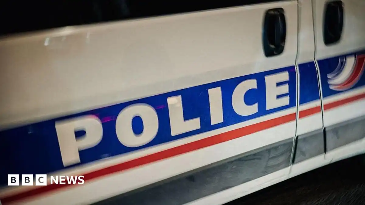 At least one dead after car crashes into crowd in northern France