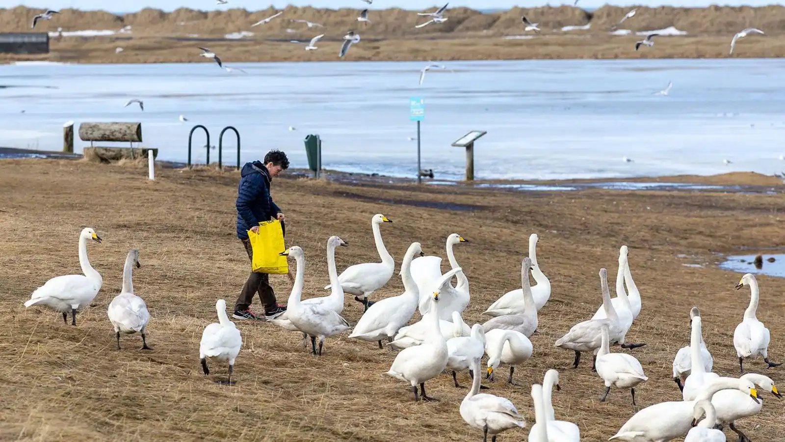 Austan­átt og úrkomulítið - Vísir