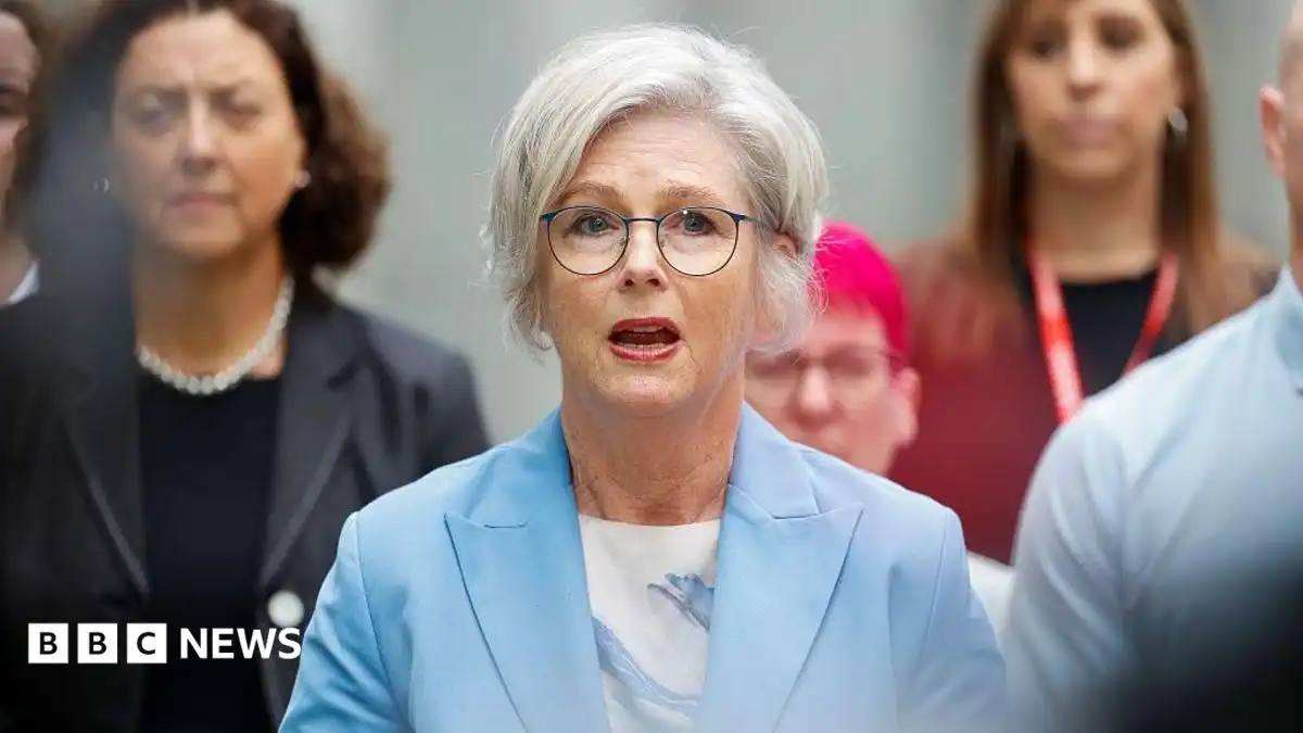 Australian MP critically injured after being hit by car in apparent attack