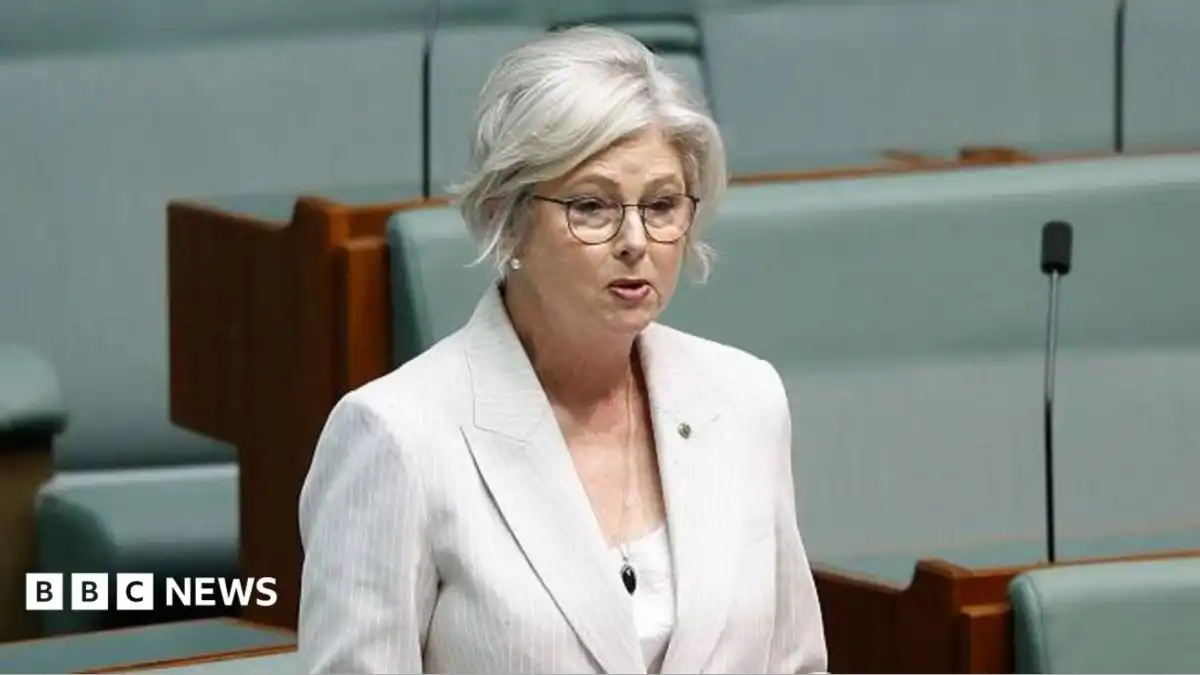 Australian MP Helen Haines' condition improves after alleged car attack