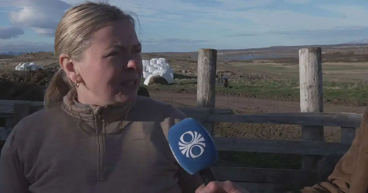 Bændur bregðast við snjókomu norðan og austanlands
