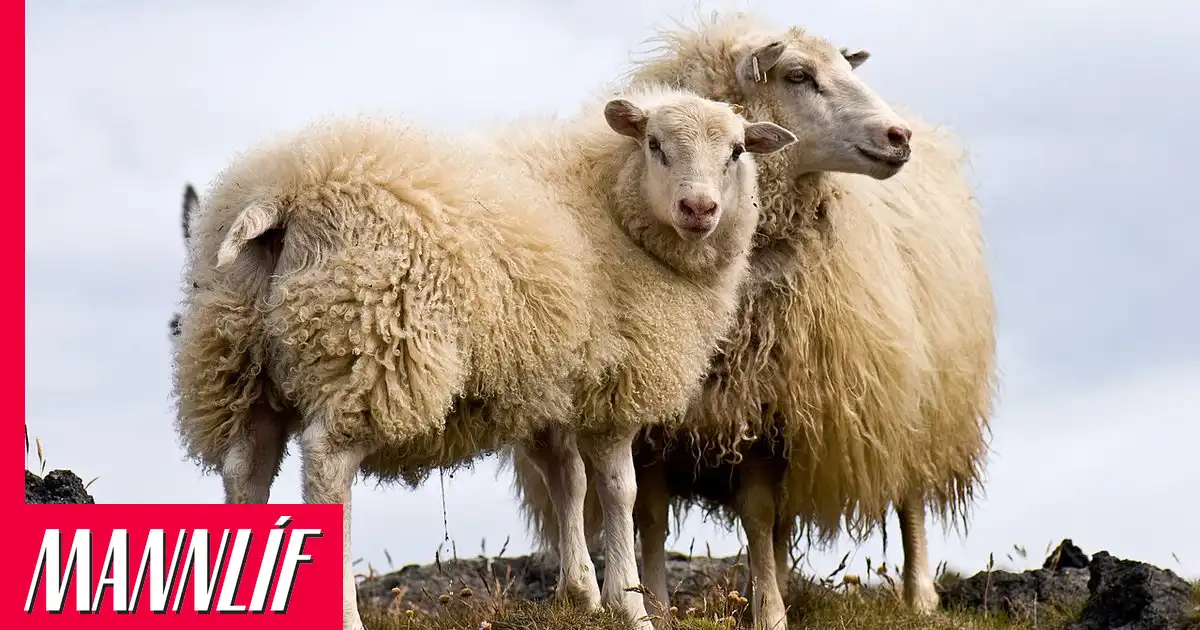 Bændur kveðja sinn eigin lífeyrissjóð