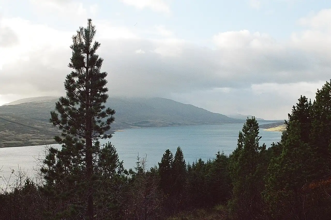 Banaslys í Skorradalsvatni - DV