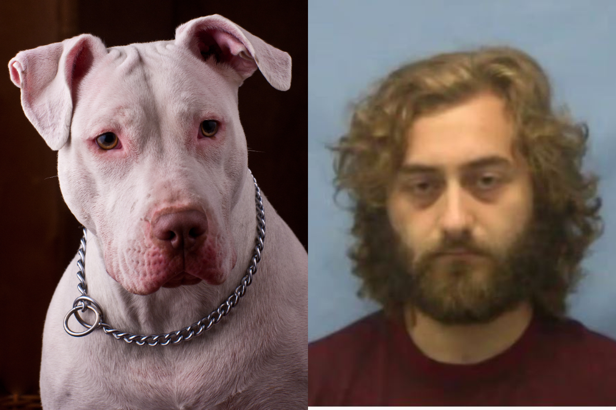 Barnaníðingur misnotaði bolabít – „Þér er ekki viðbjargandi“ - DV