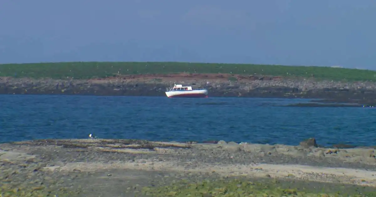 Bátur strandaður við Akurey