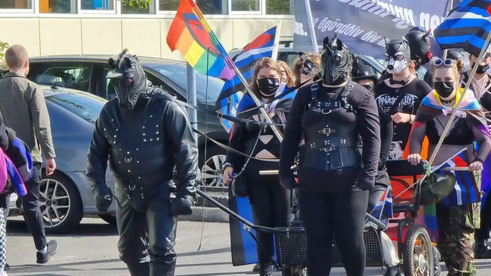 BDSM á Ís­landi for­dæmir sýknu­dóm í of­beldis­máli - Vísir