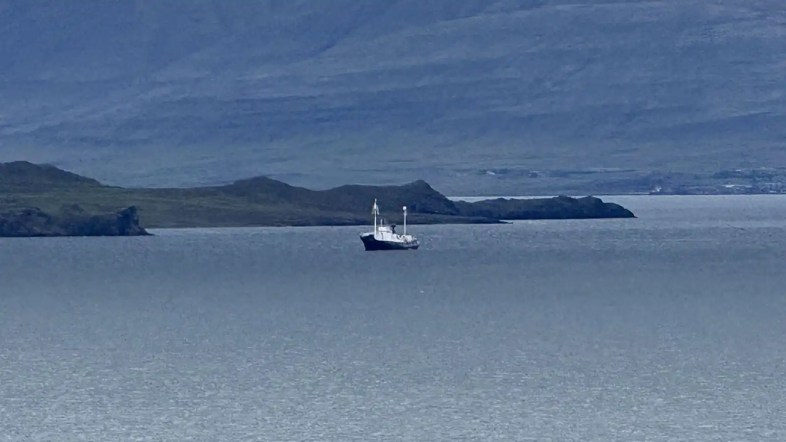 Bein út­sending frá Hval­firði - Vísir