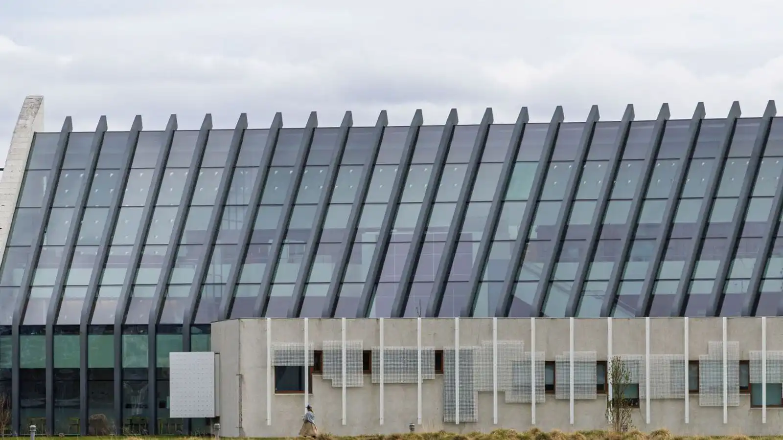 Bein út­sending: Sjálfs­víg á Ís­landi – staðan, for­varnir og leiðin fram á við - Vísir