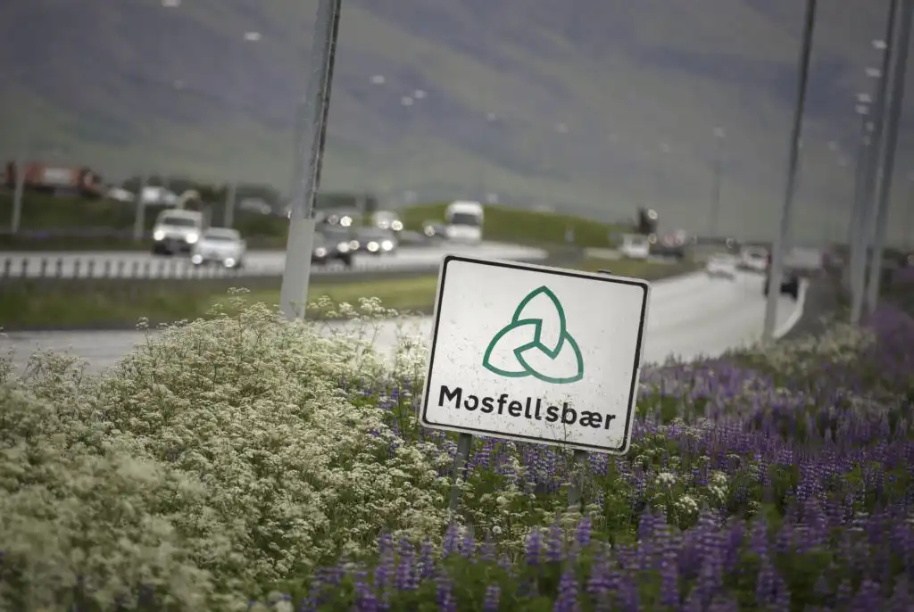 Bíleigandi fær bætur eftir að makinn klessukeyrði bílinn - Áfengislykt fannst
