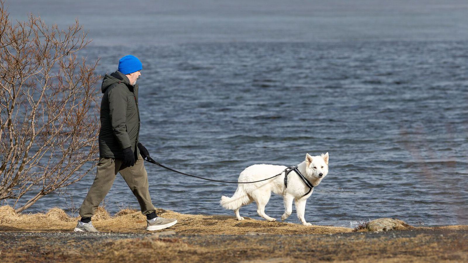 Bjart suðvestan­til en él norðan- og austan­lands - Vísir