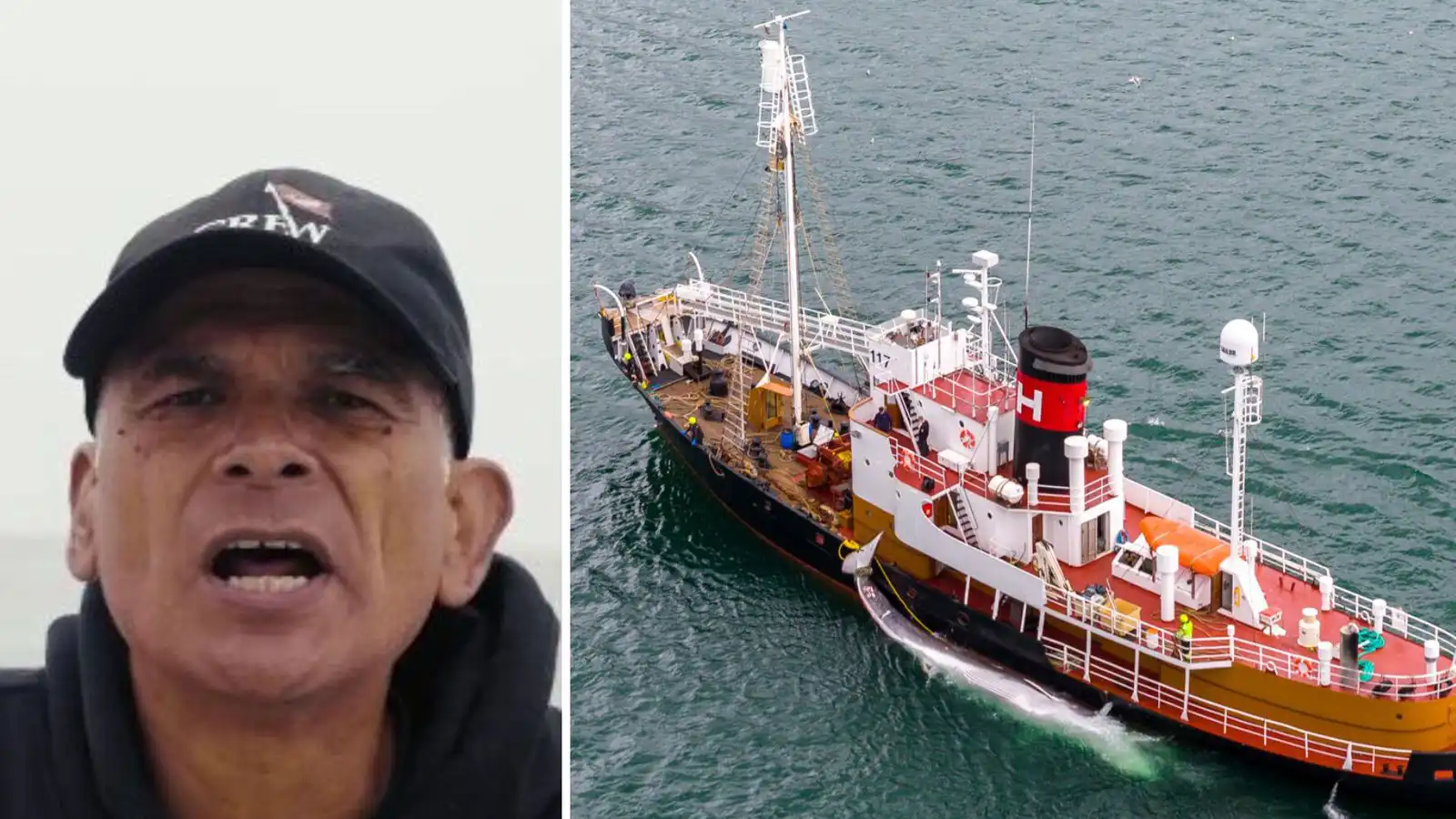 Bjóða 250 þúsund krónur fyrir stað­setningu hval­veiði­skipanna - Vísir