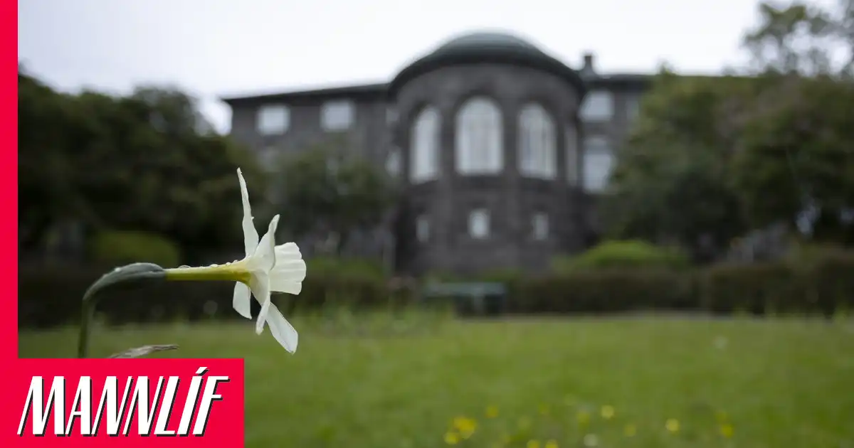 Blóm er loks orðið löglegt á Íslandi