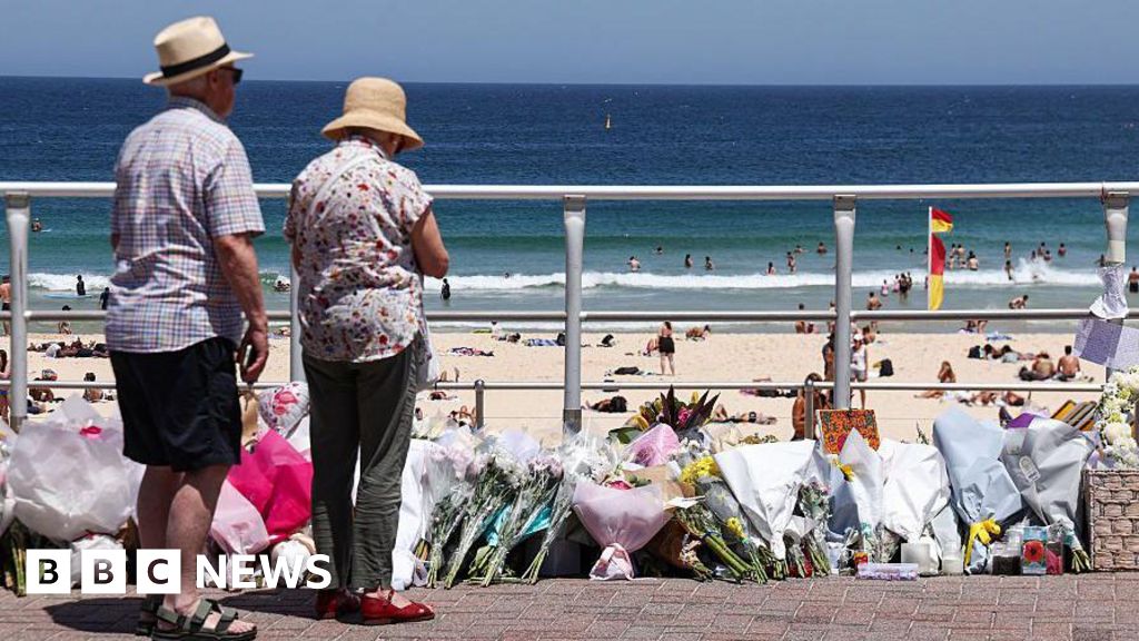 Bondi Beach shooting: Royal commission interim report says gun reform should be prioritised