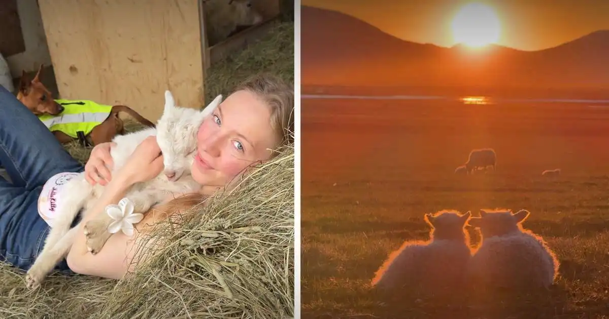 Bóndi í Skagafirði heimsfræg á TikTok: „Var alls ekki að búast við þessu“