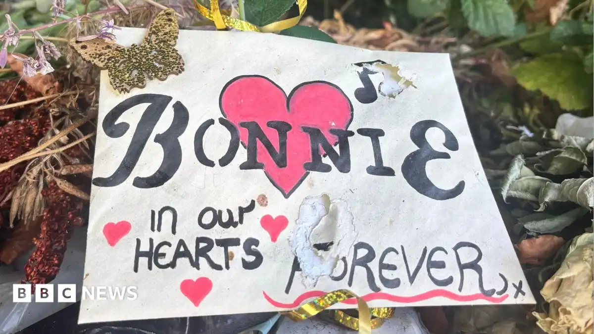 Bonnie Tyler's celebration of life attended by fans in Mumbles
