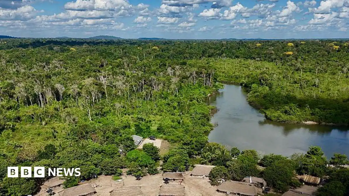 Brazil's Amazon sees sharp decline of area burned in 2025