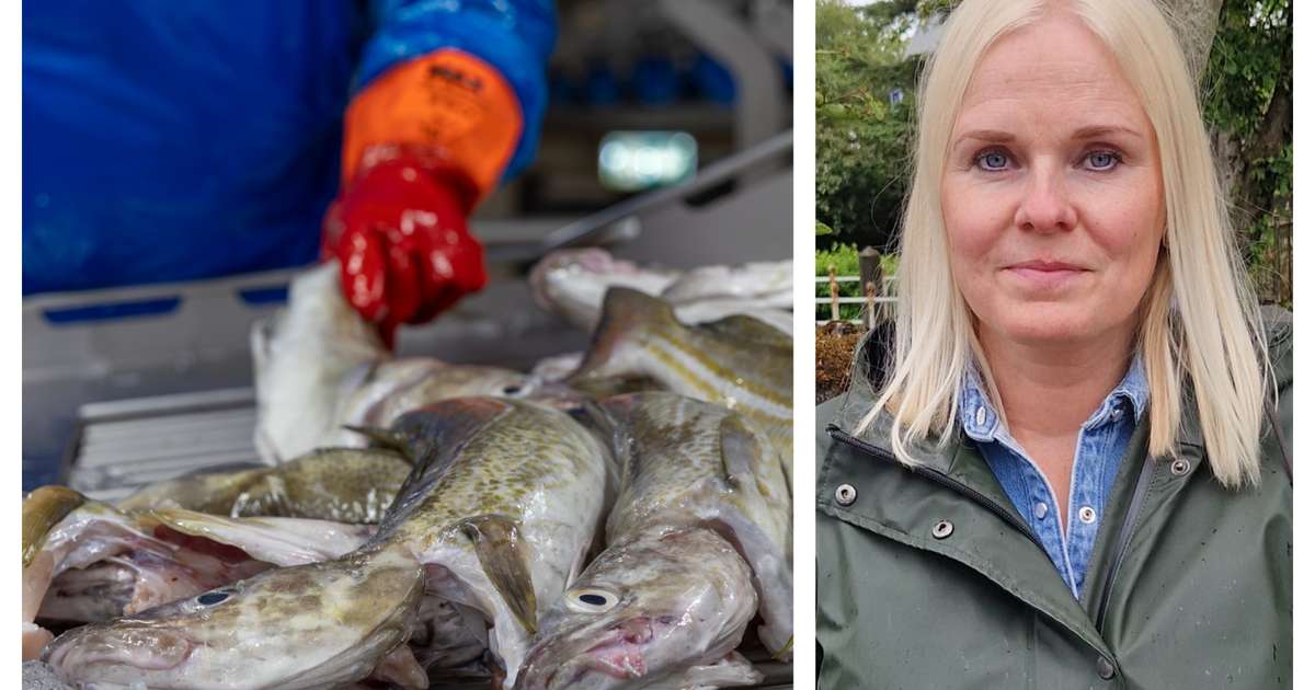 Breytt alþjóðakerfi gæti styrkt samningsstöðu Íslands