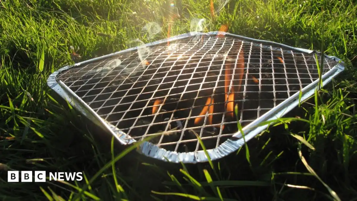 Burnham urges shops not to sell disposable BBQs over wildfire risks