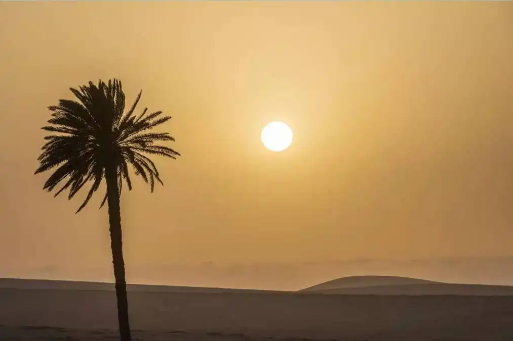 Calima returns to the Canary Islands as temperatures hit 32°C
