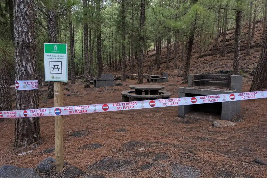 Campsites, BBQ areas and forest trails closed in Tenerife due to increased wildfire risk