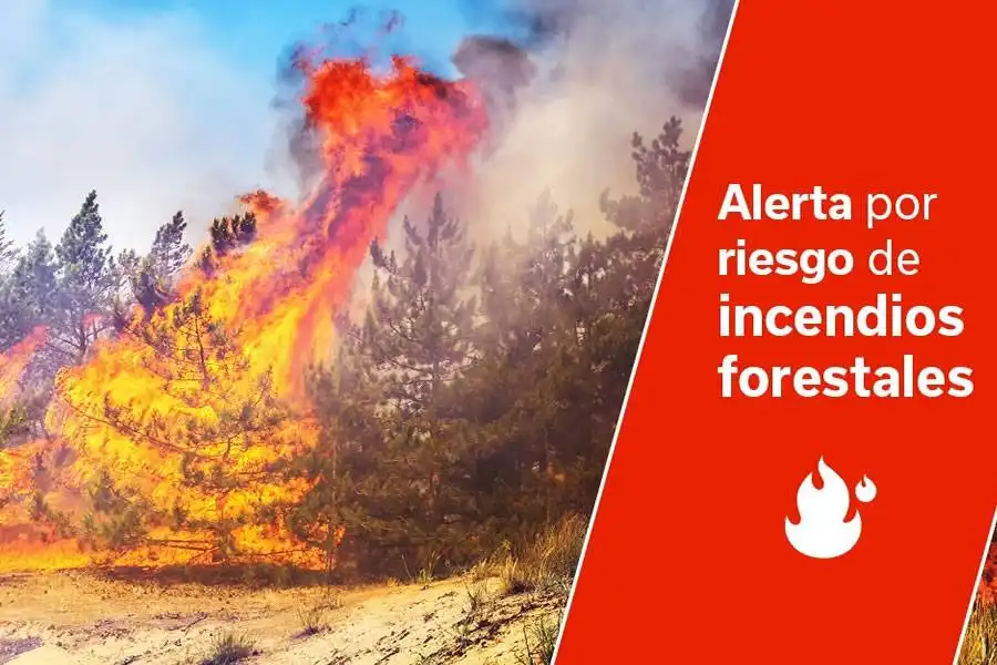 Canary Islands Government issues wildfire alert due to extreme heat and weather conditions