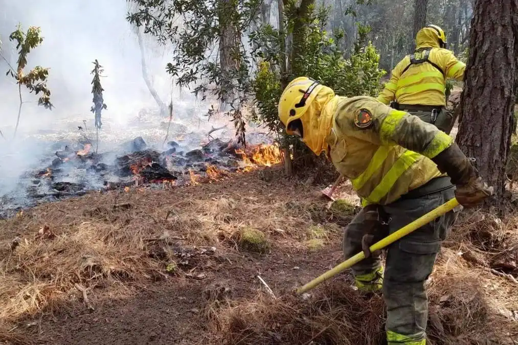 Canary Islands launch 2026 wildfire campaign with 2,600 emergency personnel