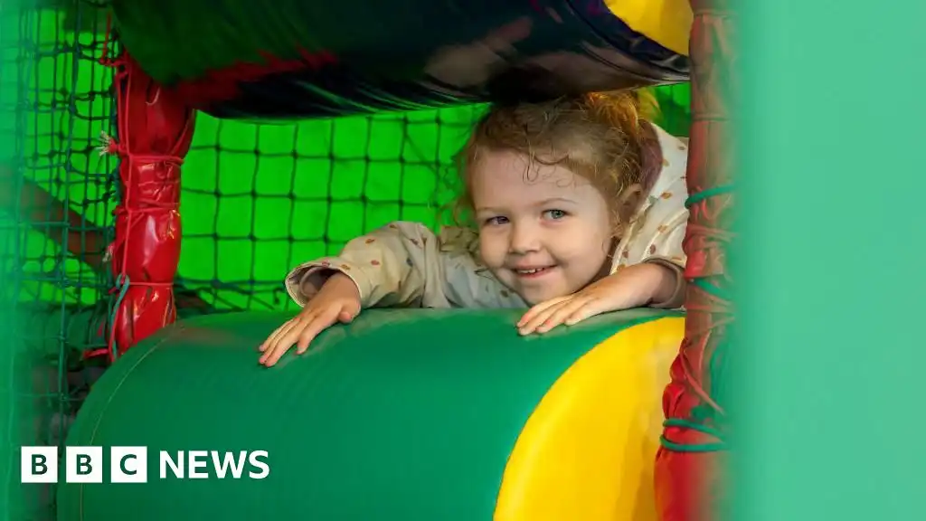 Cheaper theme park tickets and children's meals as VAT to be cut for some attractions this summer