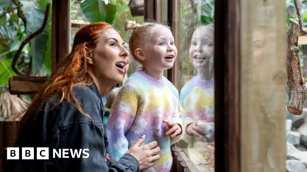 Cheaper zoo tickets and children's meals as VAT to be cut for some attractions this summer